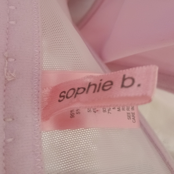 Sophie B. Elegant Pink Lace-Embroidered Corset Top - Picture 4 of 5